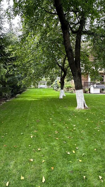 Servicii profesionale de intretinere spatii verzi + transport moloz